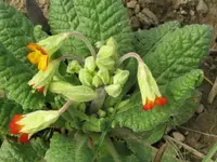 008_1024x768.webp