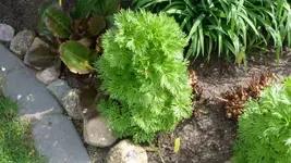 P1060330.webp