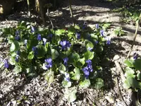 BILD2657.webp