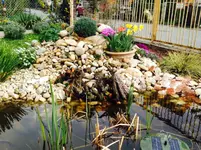 Foto 7.webp