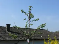P1070802.webp