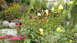 DSCN5720.webp