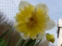 P1110846.webp