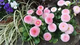 024.webp