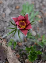 DSC_0646.webp