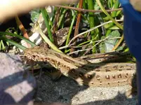 P1020192.webp