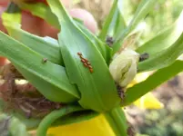 P1020106.webp
