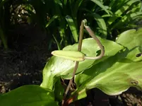 P1020135.webp