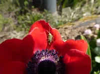 P1020212.webp