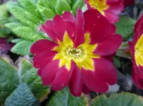 P1020331.webp