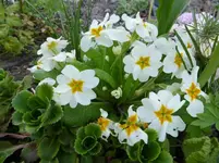 P1020314.webp