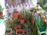 Balkon r 2014.webp