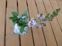 P1020146.webp