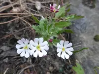 P1020097.webp