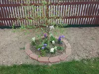 20140403_173255.webp