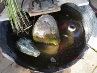 T_Goldfisch_Brunnen_Terrasse__03_2014_mr.ditschy.webp