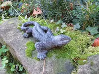 T_Salamander_Ente_11_2013_mr.ditschy.webp
