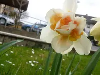 P1110849.webp