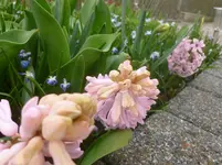 P1110865.webp