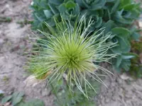 P1020337.webp