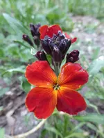 P1020341.webp