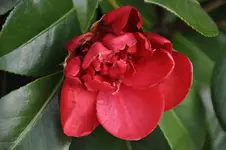 DSC_1419.webp