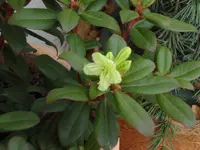 SAM_3354.webp