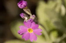 Stg 14-04-03-1527.webp