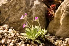 Stg 14-04-03-1529.webp