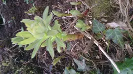 DSC_0110.webp