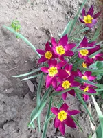 060.webp