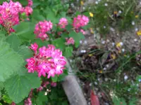 062.webp