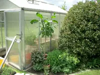 CIMG5910.webp