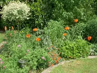 CIMG5924.webp