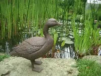 CIMG5938.webp