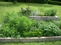 CIMG5935.webp
