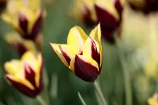 comp_IMG_4702.webp
