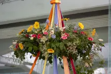 comp_IMG_4721.webp