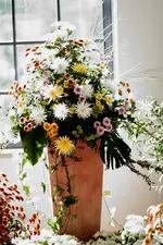 comp_IMG_4728.webp
