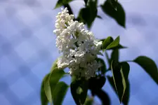 comp_IMG_4998.webp