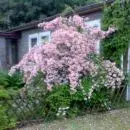 28052009018.webp