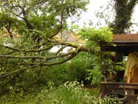 DSC00233.webp