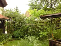 DSC00234.webp