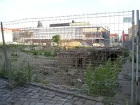 Nachtkerzen.webp