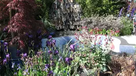 showgartenace (4).webp