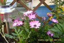 JD500121.webp