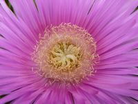 P1000827.webp