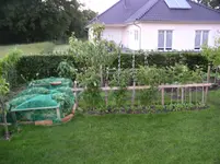 P1010013.webp