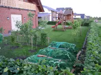 P1010016.webp
