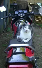 CIMG7489.webp